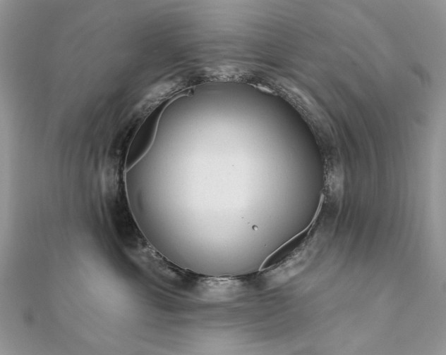 X0000111670429200907311202