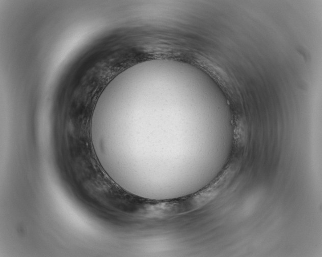 X0000111670430200907311202