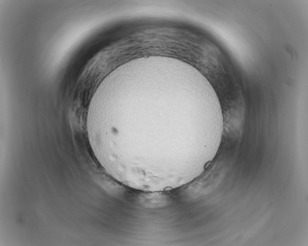 X0000111670431200907311202