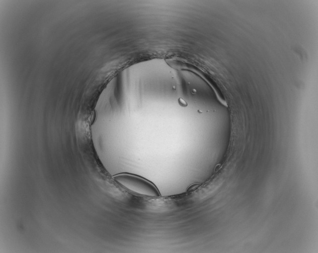 X0000111670432200907311202