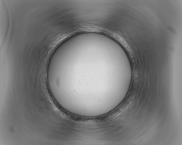 X0000111670433200907311201