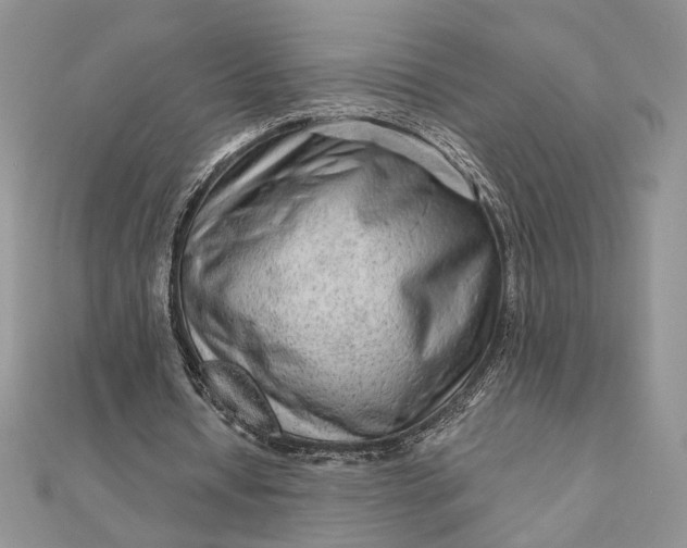 X0000111670434200907311201