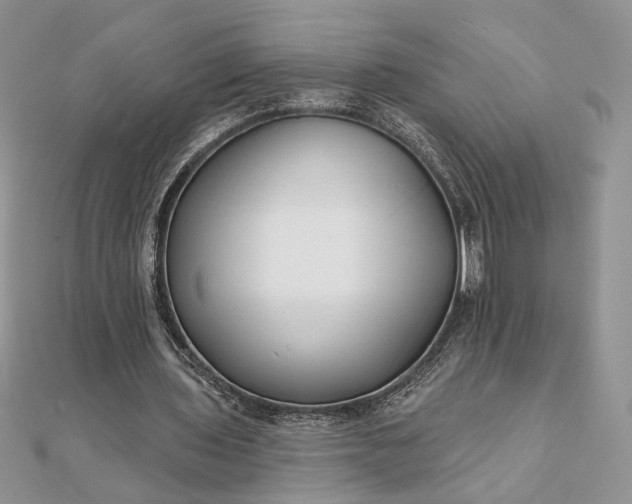 X0000111670435200907311201