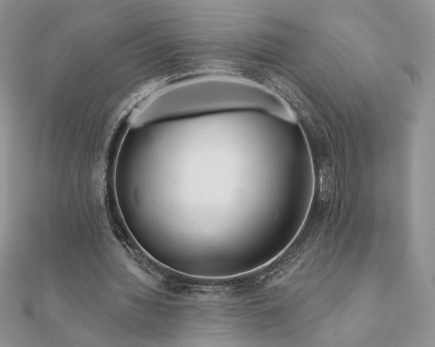 X0000111670436200907311201