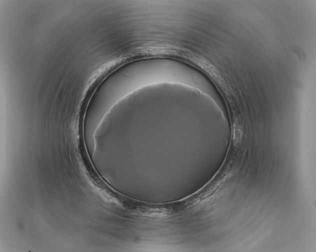 X0000111670438200907311201