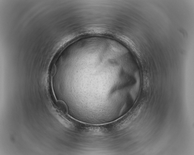 X0000111670439200907311201