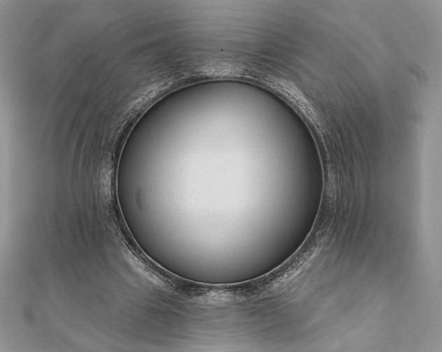 X0000111670441200907311201