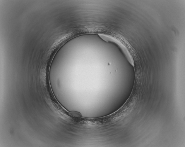 X0000111670442200907311202