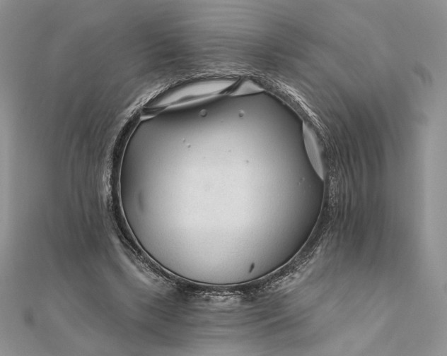 X0000111670443200907311202