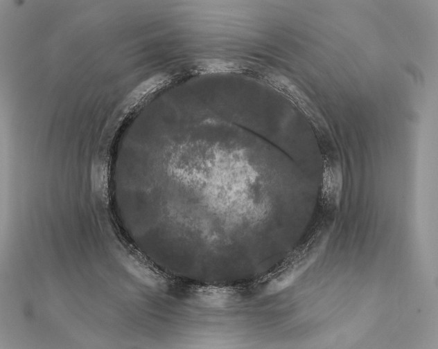 X0000111670444200907311202