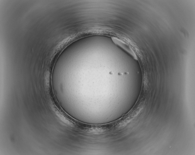 X0000111670445200907311202