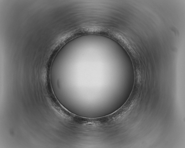 X0000111670447200907311202