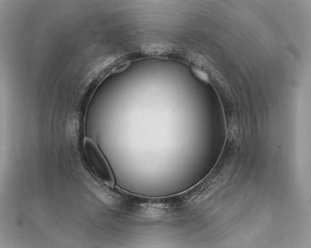 X0000111670448200907311202