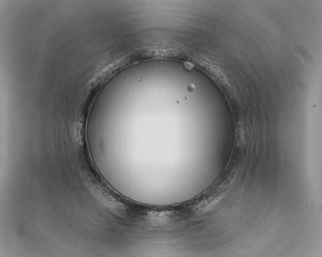 X0000111670450200907311202