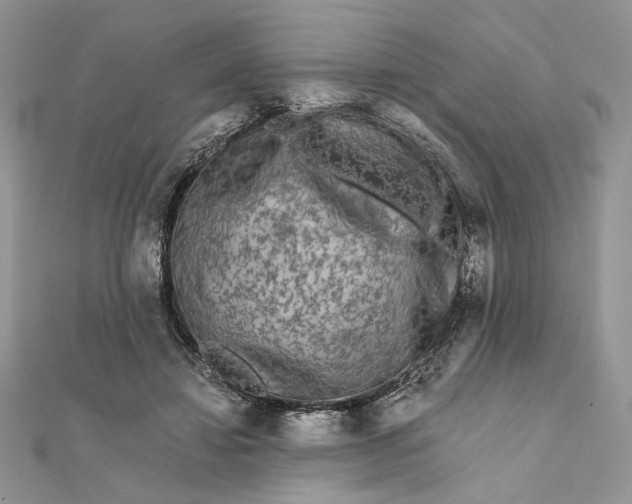 X0000111670452200907311202