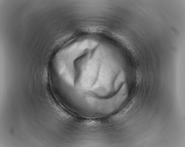 X0000111670453200907311202