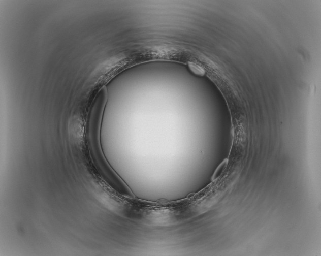 X0000111670456200907311202