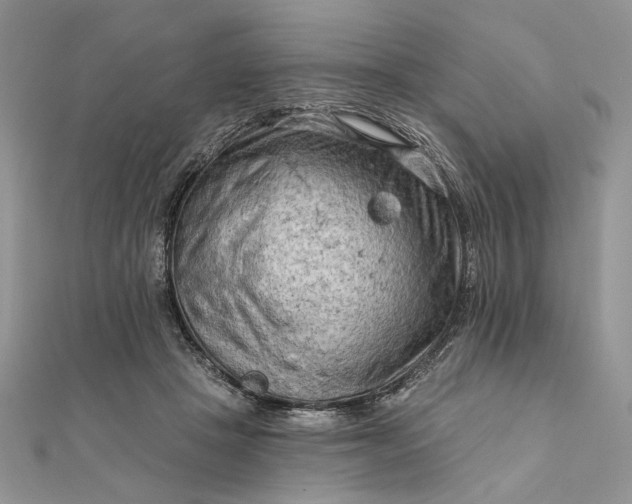 X0000111670457200907311202