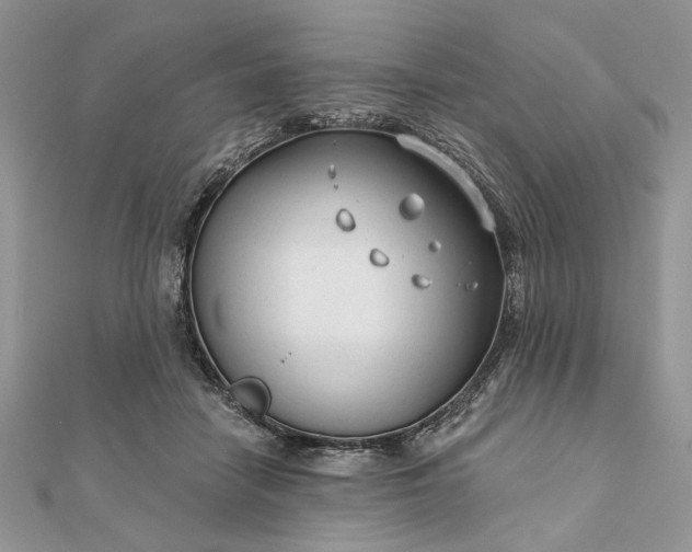 X0000111670458200907311202