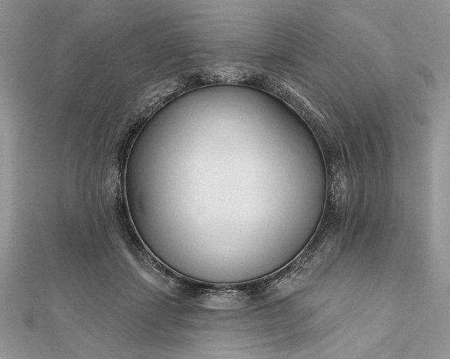 X0000111670459200907311202