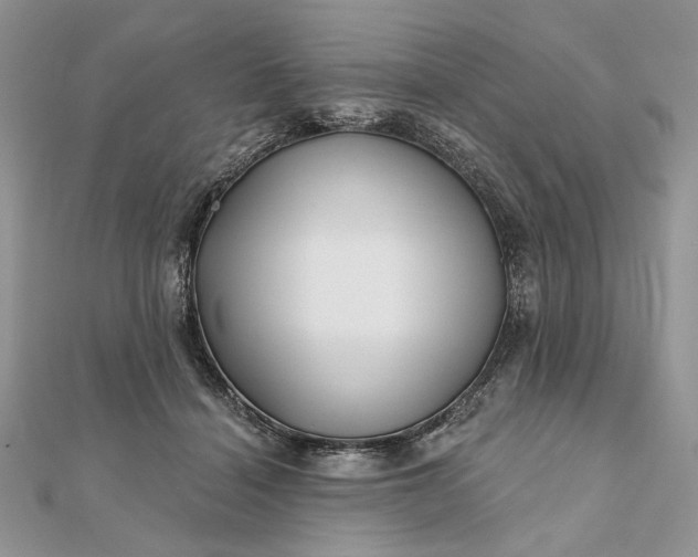 X0000111670460200907311202