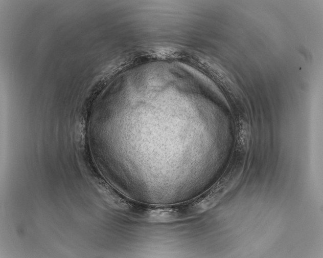 X0000111670461200907311202