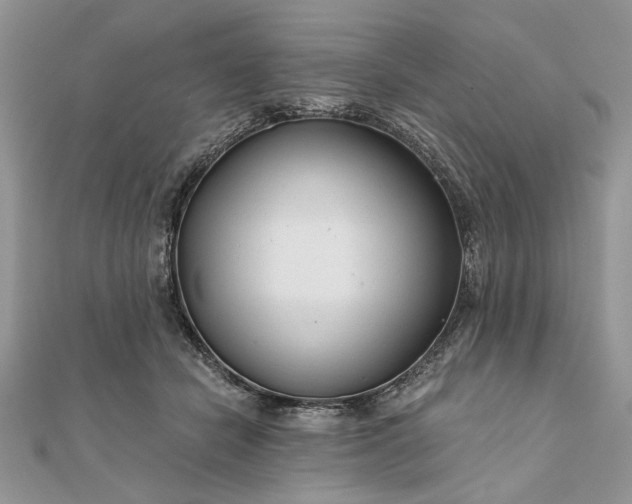 X0000111670462200907311202