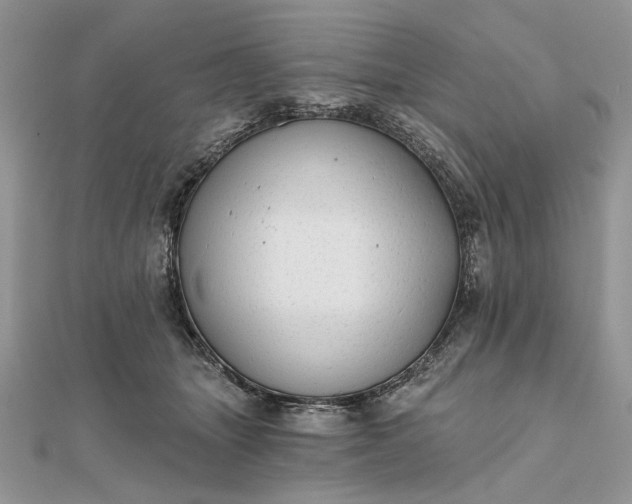 X0000111670463200907311202