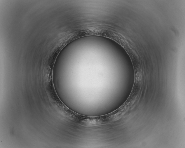 X0000111670464200907311202