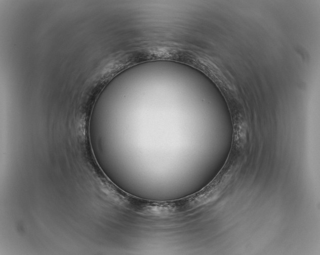 X0000111670466200907311202