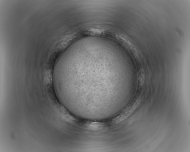 X0000111670467200907311202