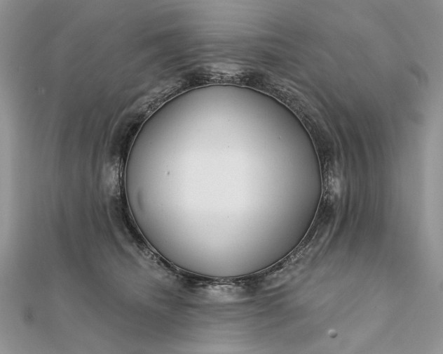 X0000111670468200907311202