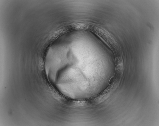 X0000111670469200907311202