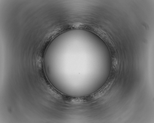 X0000111670470200907311202