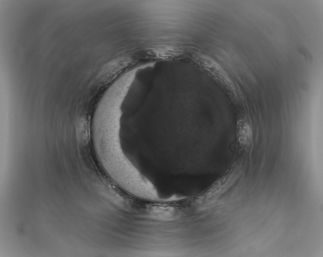 X0000111670471200907311202