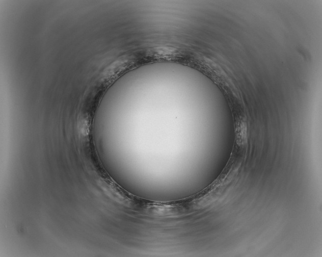 X0000111670472200907311202