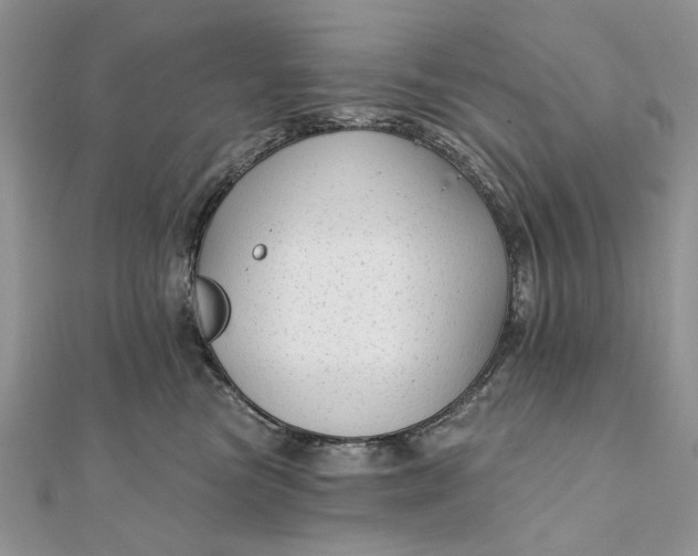 X0000111670473200907311202