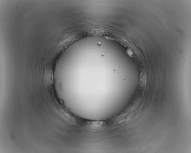 X0000111670474200907311202