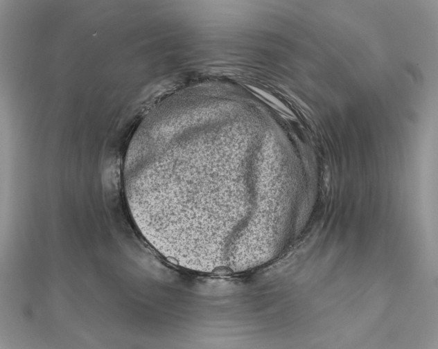 X0000111670475200907311202