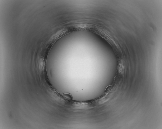 X0000111670476200907311202