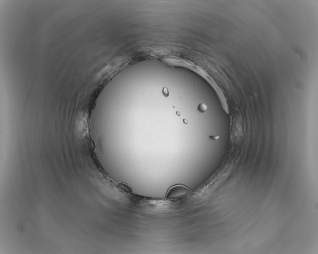 X0000111670478200907311202