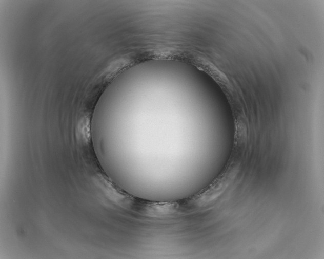 X0000111670479200907311202