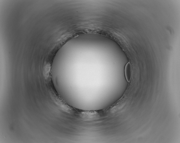 X0000111670480200907311202