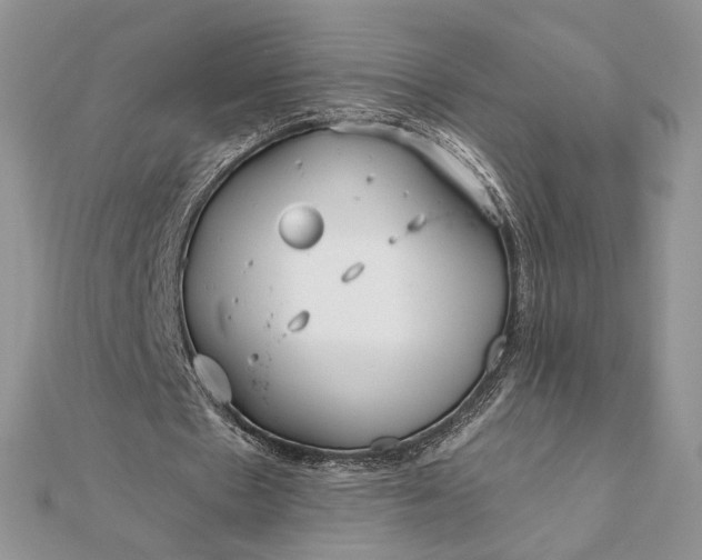 X0000111670481200907311201