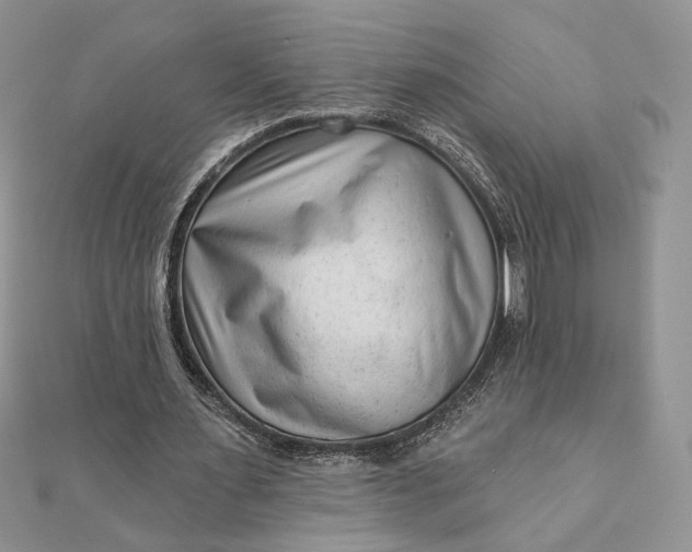 X0000111670483200907311201