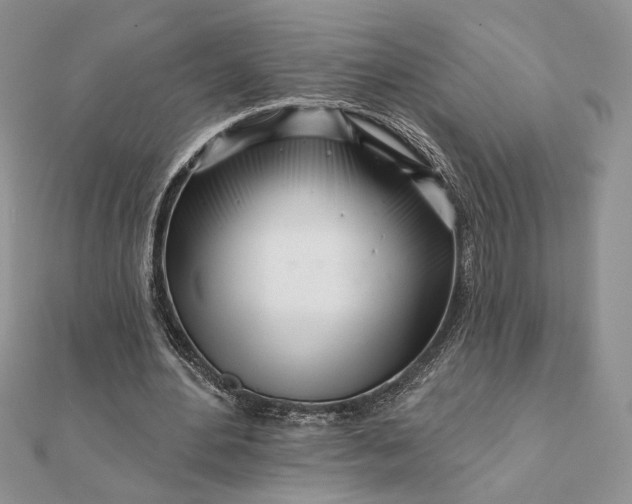 X0000111670484200907311201