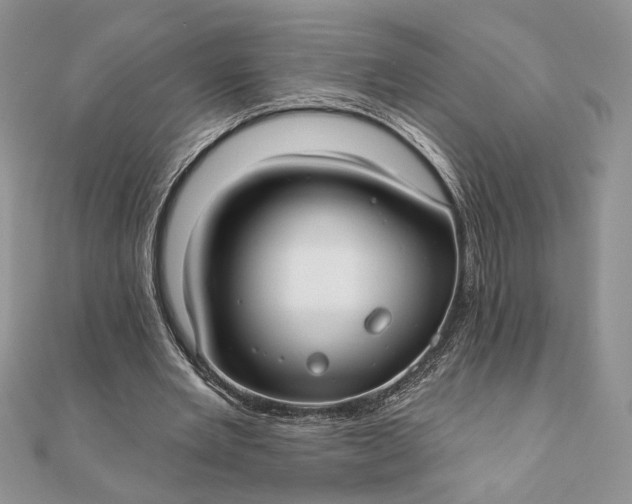 X0000111670485200907311201