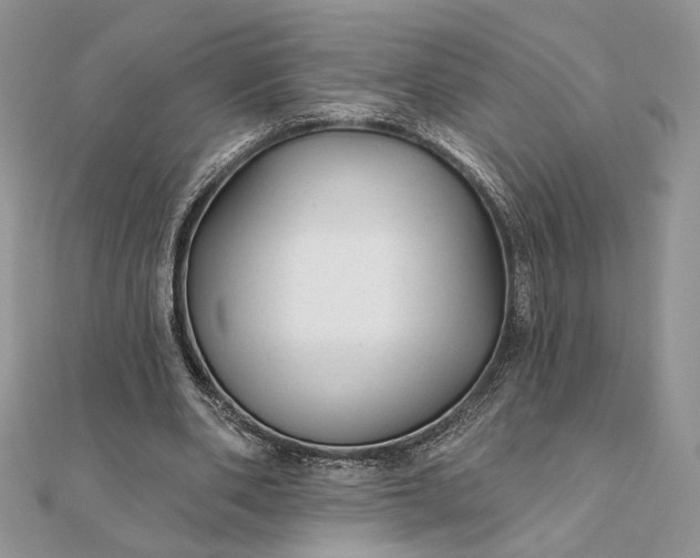 X0000111670486200907311201