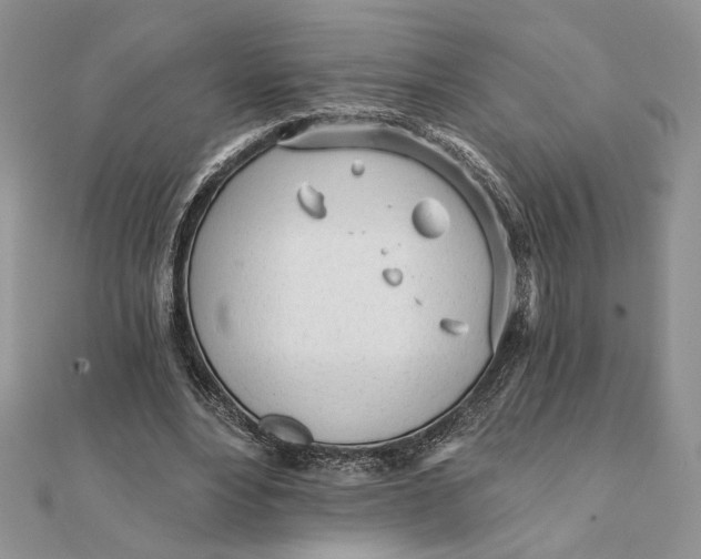 X0000111670488200907311201