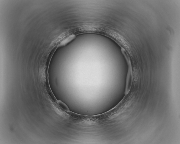 X0000111670489200907311201